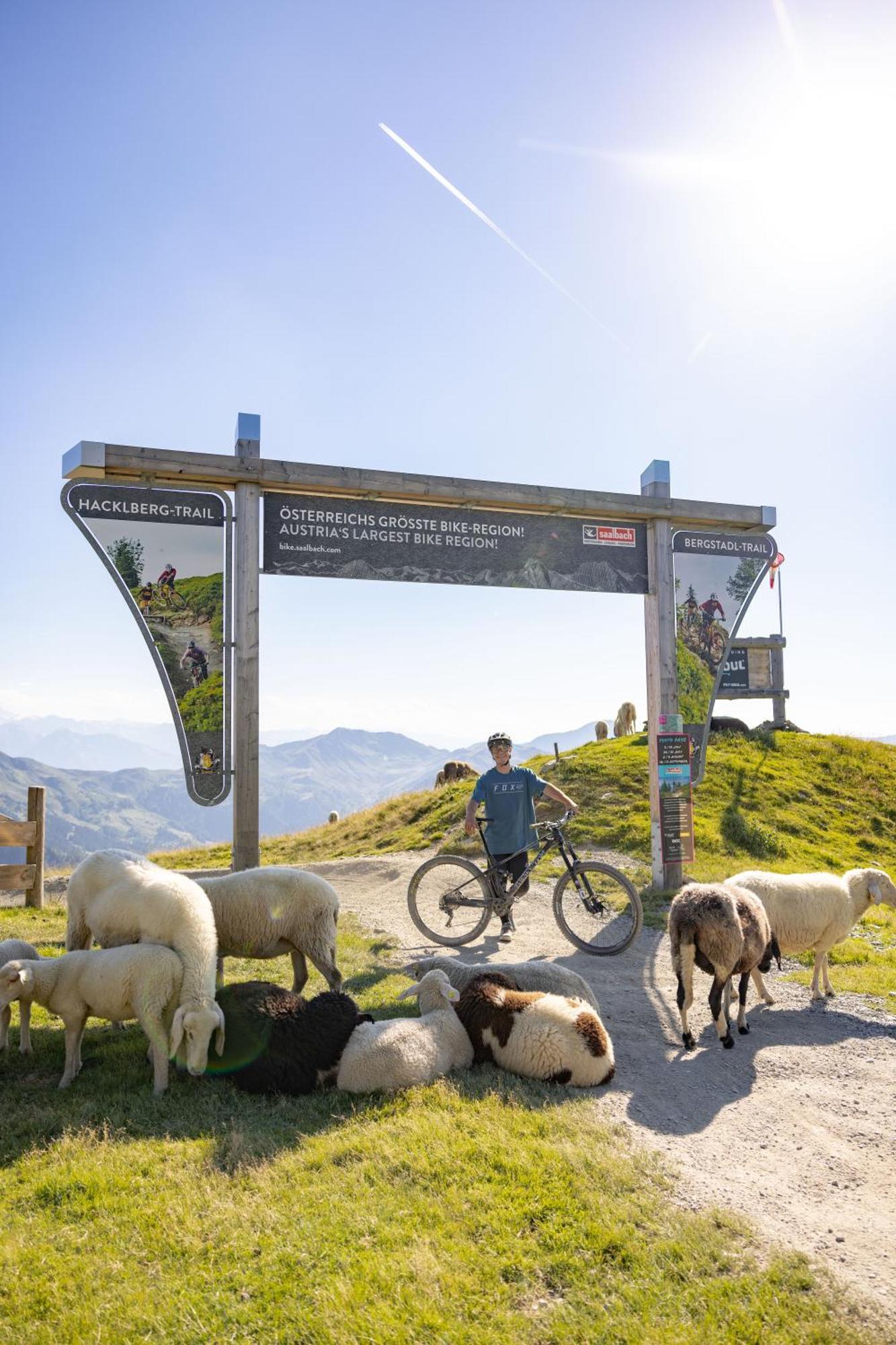 Apartments Landhaus Saalbach Zewnętrze zdjęcie